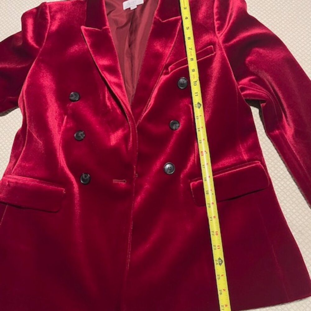 Velvet Double Breasted Blazer - Picture 6 of 8